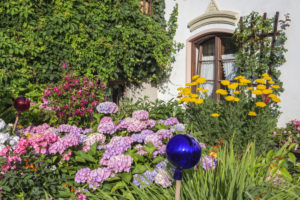 Bauerngarten vor Bauernhaus in Törwang, Gemeinde Samerberg, Chiemgau, Oberbayern, Bayern, Süddeutschland, Deutschland, Europa Bauerngarten vor Bauernhaus in Törwang, Gemeinde Samerberg, Chiemgau, Oberbayern, Bayern, Süddeutschland, Deutschland, Europa